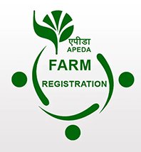 APEDA Registered